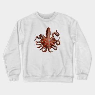 Ancient Octopus Crewneck Sweatshirt